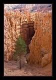 Bryce Canyon 44